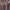 Roxo