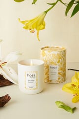 Hoss Intropia Vela Hoss Intropia Golden Sunset Amarillo