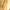 Dourado