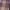 Roxo